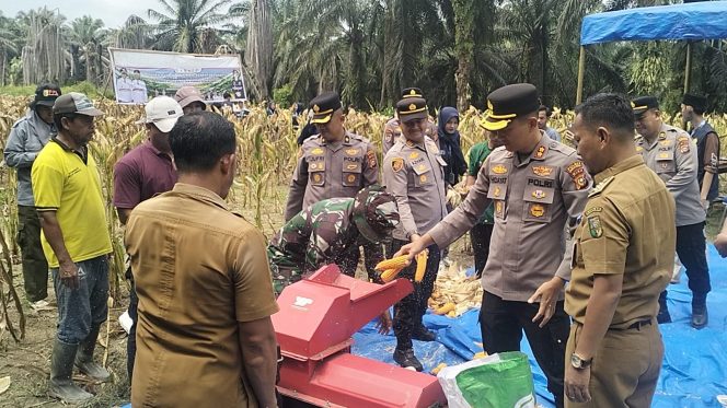 
					Panen Raya Jagung Pipil Tahap II Polres Kuansing, Kolaborasi Perkuat Ketahanan Pangan Nasional